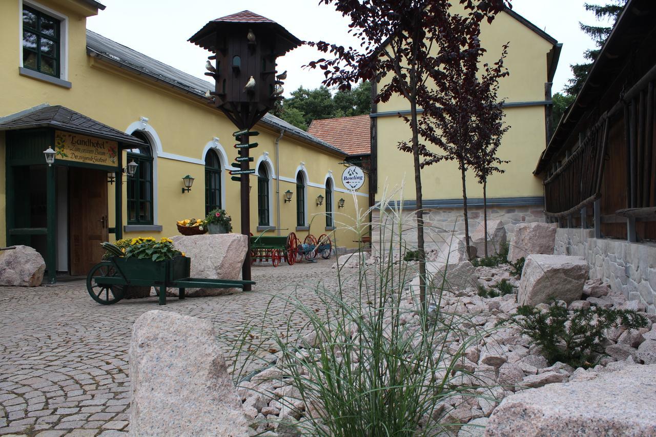Hotel Digitales Event & Hochzeitshotel Zum Grunen Baum Taltitz, Germany -  book now, 2023 prices