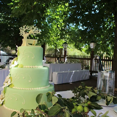 Event&hochzeitshotel Zum Grünen Baum Taltitz