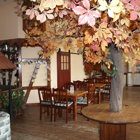 Hotel Digitales Event & Hochzeitshotel Zum Gruenen Baum 3*