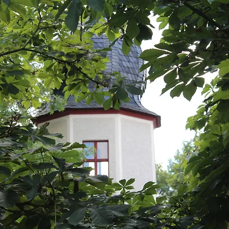 Digitales Event & Hochzeitshotel Zum Gruenen Baum 호텔 3*