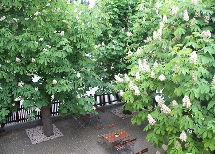 Digitales Event & Hochzeitshotel Zum Gruenen Baum فندق 3*