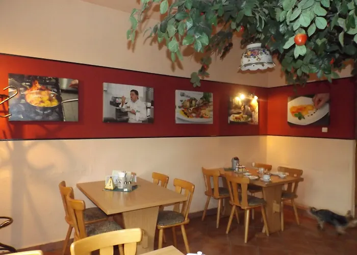 Digitales Event & Hochzeitshotel Zum Gruenen Baum 3* Taltitz